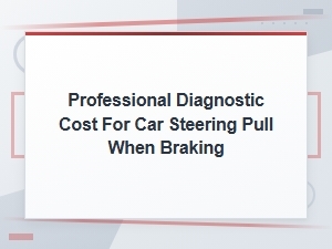 Professional Diagnostic Cost for Car Steering Pull When Braking